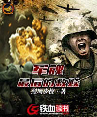 军魂，最后的救赎小说阅读
