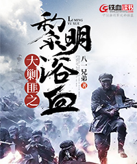 大剿匪之黎明浴血小说阅读