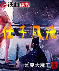 仕子风流小说阅读