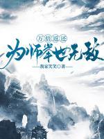 陈林沈玲珑小说阅读