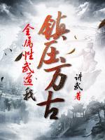 秦风南宫月小说阅读