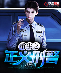 重生之正义刑警小说阅读