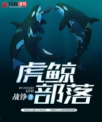 虎鲸部落小说阅读