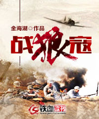 战狼寇小说阅读
