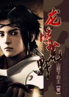 龙腾荒野小说阅读