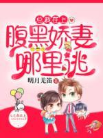 总裁在上：腹黑娇妻哪里逃小说阅读