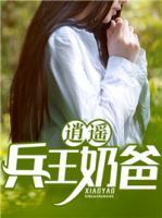 逍遥兵王奶爸小说阅读