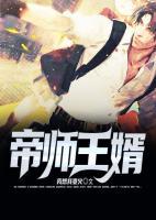 帝师王婿小说阅读