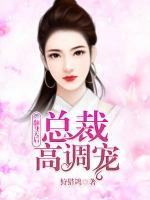 翻身天后：总裁高调宠小说阅读