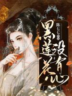 黑莲花没有心小说阅读