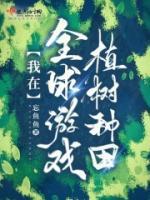 木萤温莎小说阅读