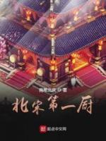 李奇季红奴小说阅读