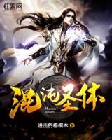 混沌圣体小说阅读