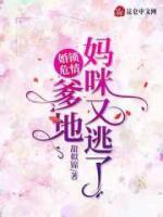 傅衍琛时婳