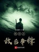 抗日之敌后争锋小说阅读