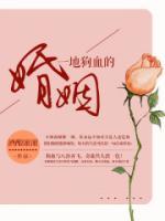 一地狗血的婚姻小说阅读