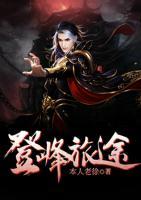 登峰旅途小说阅读