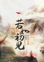 若如初见小说阅读