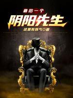 最后一个阴阳先生小说阅读