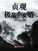 贞观极品小女婿小说阅读