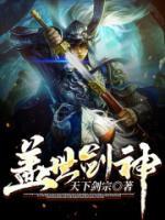 盖世剑神小说阅读