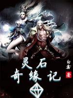灵石奇缘记小说阅读