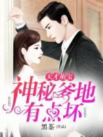 天才萌宝：总裁爹地有点坏小说阅读