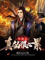 本城主真的很心累小说阅读