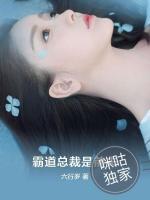 霸道总裁是前夫小说阅读