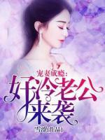 宠妻成瘾：高冷老公来袭小说阅读