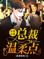 厉总蜜宠娇妻小说阅读