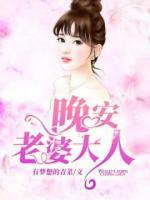 晚安，老婆大人小说阅读