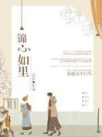 锦心如里小说阅读