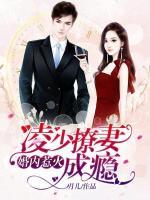 婚内惹火：凌少撩妻成瘾小说阅读