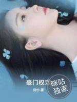 豪门权宠小说阅读