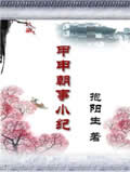 甲申朝事小纪小说阅读