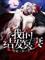 我的结发妻子小说阅读