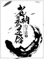 老衲要还俗小说阅读