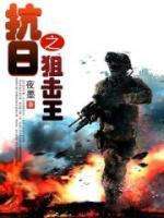 抗日之狙击王小说阅读