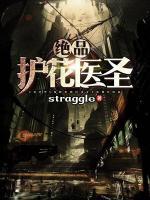 绝品护花医圣小说阅读