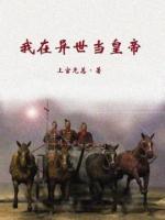 我在异世当皇帝小说阅读