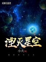 湮灭星空小说阅读