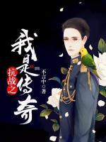 抗战之我是传奇小说阅读