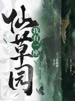 宋远王翔小说阅读