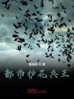 李风柳心妍小说阅读