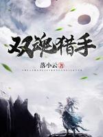 双魂猎手小说阅读
