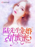 陆夜寒苏溪小说阅读
