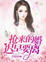 抢来的婚迟早要离小说阅读