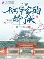 曲迆十四爷小说阅读