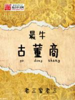 唐豆杨灯小说阅读